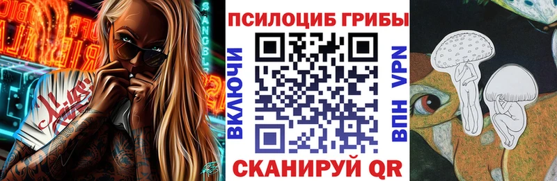 Купить  Саки  Галлюциногенные грибы Psilocybine cubensis 